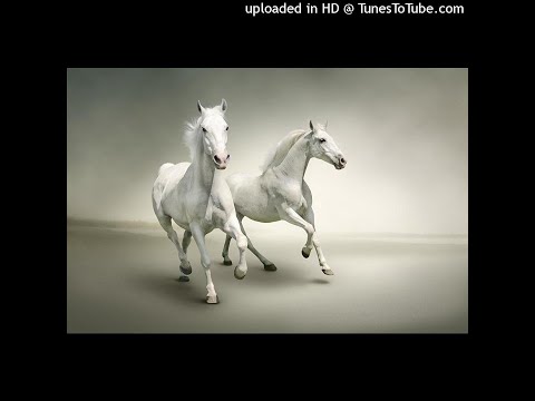 Ano X Stx__génération__risqué