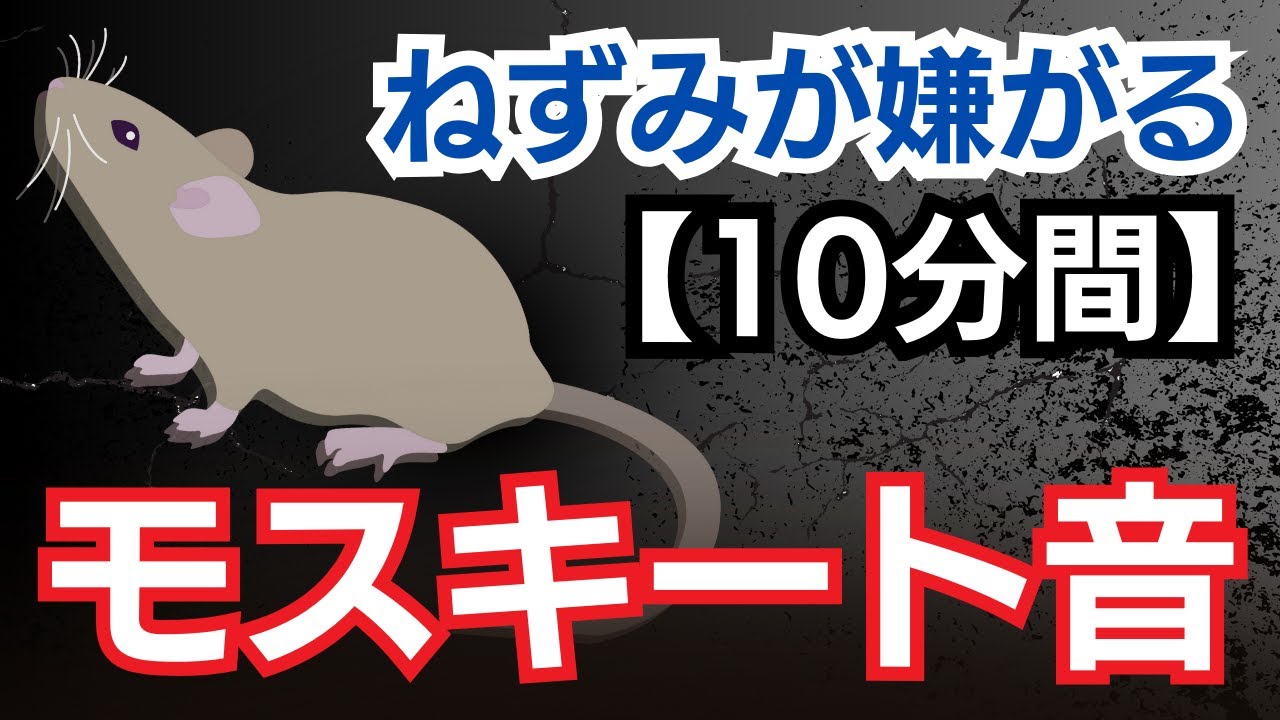 【モスキート音】ねずみが嫌がる音で撃退！ねずみ・ハクビシンに！【10分間】