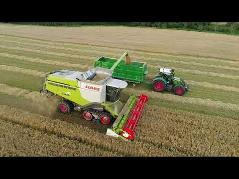 Harvest 2020 Claas Lexion 670 TT