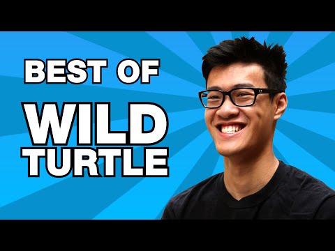Best of WildTurtle | Not Actually a Turtle