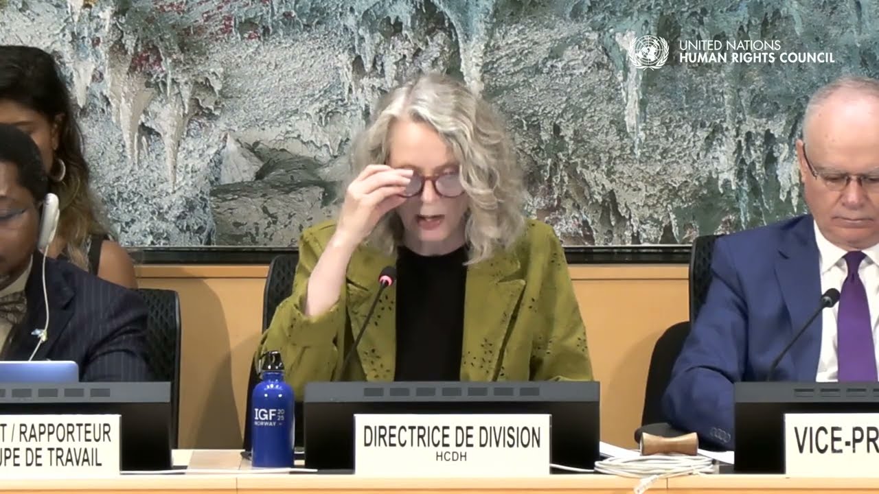 Human rights in practice: seven UN reports to the Human Rights Council in Geneva