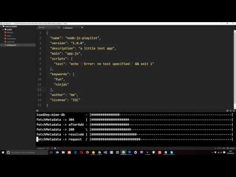 Node JS Tutorial for Beginners 21 The package json File