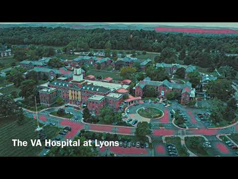 The VA Hospital At Lyons