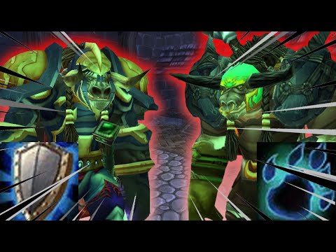 Warrior vs Druid Tank Pre raid gear Karazhan comparison - Damage Taken TBC Classic