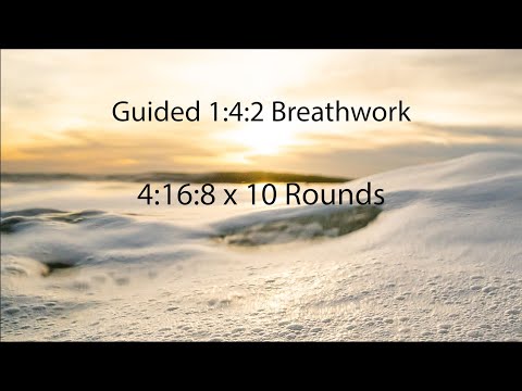 1:4:2 breathing protocol for Beginners | 4:16:8 | 10 Rounds