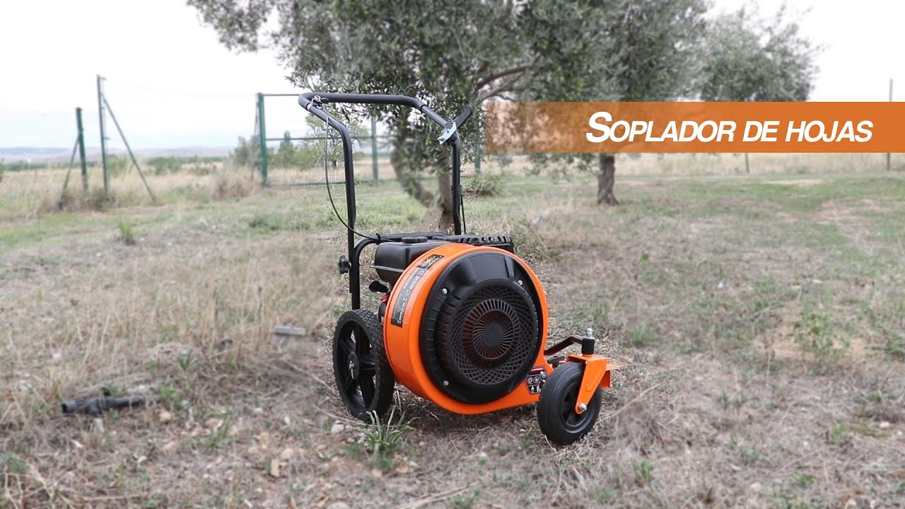 Benzinbetriebener Laubbläser auf Rädern Zeppelin 209 cc