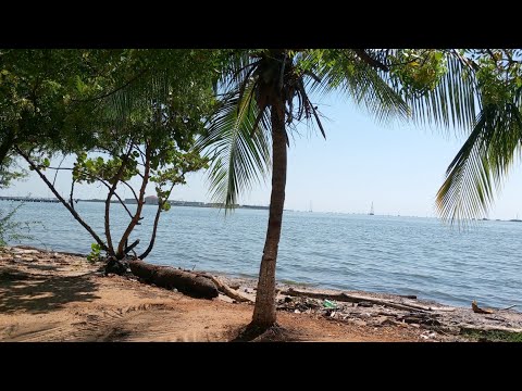 TAI Z, RoxX - 10/10 (Visualizer Oficial) Only US