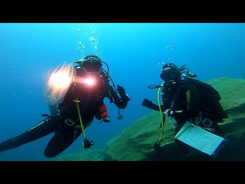 La biodiversidad en peligro frente al desarollo