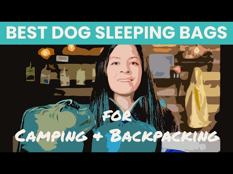 BEST Dog Sleeping Bags | Ruffwear, Wilderdog, Whyld River | Dog Sleeping Bags for Backpacking