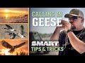3 Need-to-know Goose Calls - How-to Sound Like a Real Goose | SMART Tips & Tricks