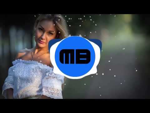 Bounce | Z3GNOR X WYLEN - OKAY!