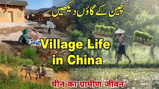 China Village Life | Village Life in China urdu documentary | China ka gaon | Chinese Village
