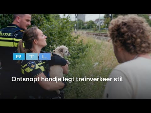 Bureau Maastricht (2024)