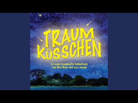 Der Traumvogel - Nico Bizer