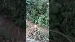 esonda-il-torrente-san-nicola-nuovo-allagamento-in-via-segni