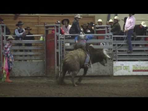 Majestic Valley Bull Riding