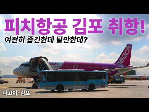 피치항공의 김포-나고야 첫 경험: 저렴한 가격, 새로운 노선의 매력