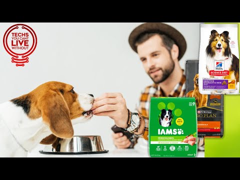 ✅ TOP 5 Best Dog Foods That You Can Get On Amazon [ 2022 Buyer's Guide ]