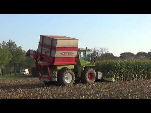 Loonw. Leeuwerck - Dikkebus