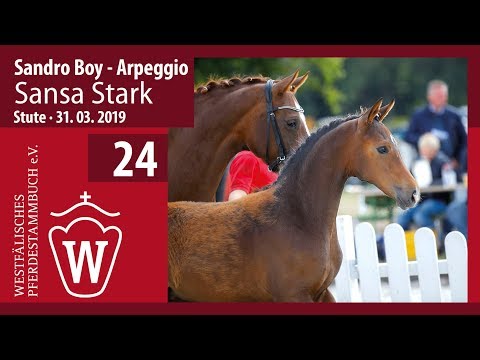 24 Sansa Stark Stute v. Sandro Boy - Arpeggio