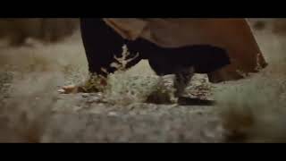 Janam Fida-e-Haideri Ya Ali Ali Ali | Sadiq Hussain video