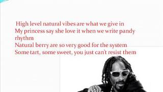 Snoop Lion feat. Mr. Vegas - Fruit Juice (lyrics on screen)