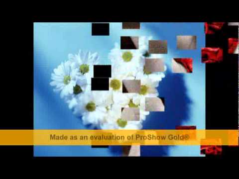 OFRA -HAZA- YOU   ---  HAZIM AL NJJAR