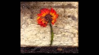 O Yuki Conjugate - Where She Goes at Night