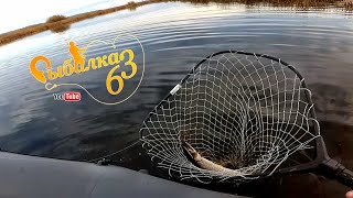 Как ловить на кряжистом затоне