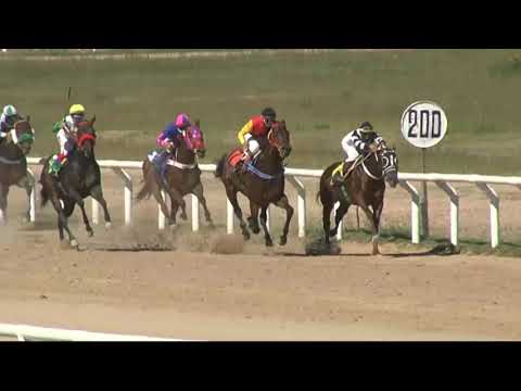 05/11/2020 – Hipodromo Paysandu – Carr 5 – ESPECIAL: GRAN PREMIO JOCKEY CLUB