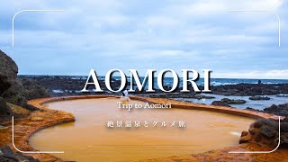 【青森Vlog①】夏の2大絶景を巡るドライブ旅！田舎館村の田んぼアート＆日本海と繋がる不老ふ死温泉を満喫する初日｜大人旅Vlog