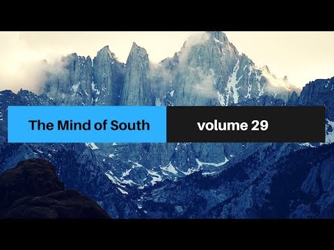 The Mind of South volume 29 (PREVIEW)