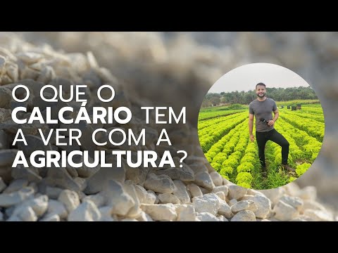 Saiba a importância do calcário para a agricultura