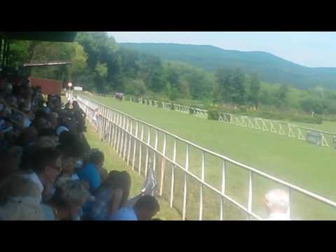 Topolcianky dostihy(2)