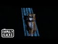 Thrown Into Jail Puss In Boots 2011 Family Flicks