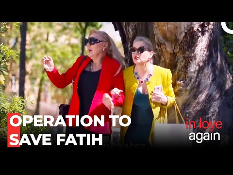 Dna Test From The Siblings - In Love Again