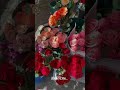 Bulbili Song Lyrics Whats App Statues Song Kazinazrulisalm