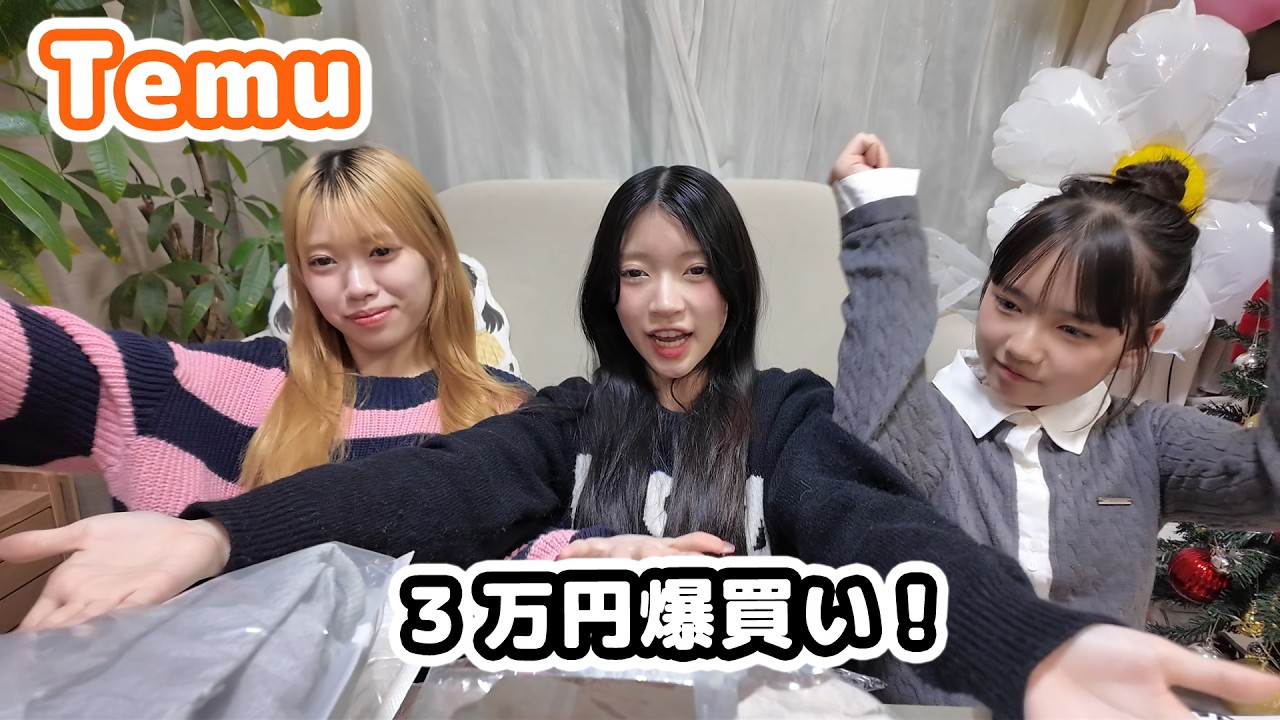 ３万円爆買い！Temuでいっぱい買っちゃう！！【にゃーにゃちゃんねる】