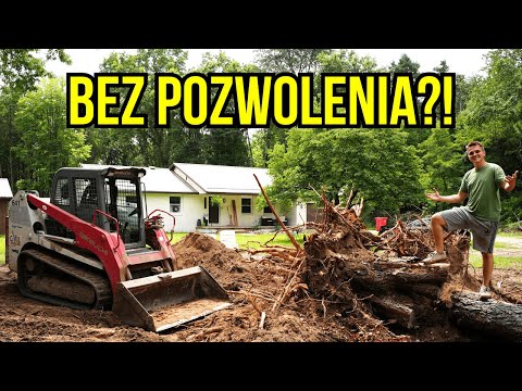 In the Countryside in the USA | We're removing trees, planning a driveway... + mushroom picking w...
