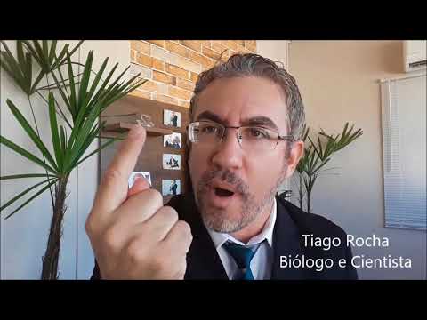 OS 20 ALIMENTOS QUE VOCÊ AINDA PODE COMER SEM MEDO. (1ª AULA)  BATATA DOCE E FEIJÃO PRETO.