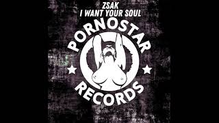 Zsak - I Want Your Soul video