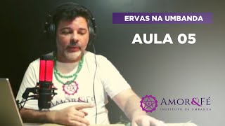 CURSO DE ERVAS NA UMBANDA | AULA 05  - LOURO