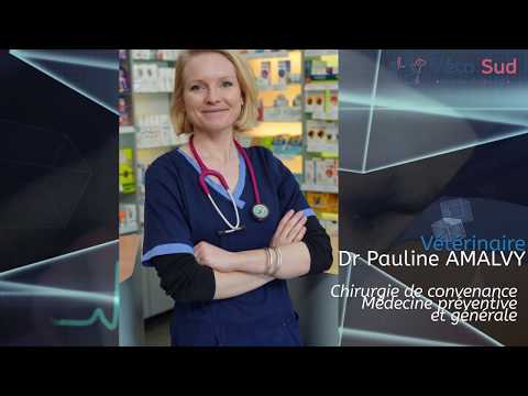 présentation de l'équipe