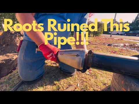how to replace sewer line from house to street with out digging (Must Watch)