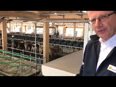 Matthias Schick, Strickhof, erklärt neuen Milchviehstall des Strickhofs