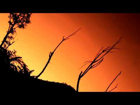 lagu dansa terbaru O DOBEN cover Ferry Lado,.