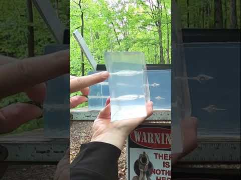 Fiocchi Defense Dynamics in Pocket Guns - 9mm VS .38 Special VS .380 ACP