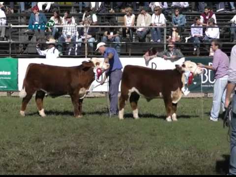 Ing. Agr. Rodrigo Fernández Abella – Jurado de Hereford