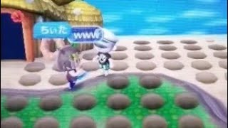 【あつ森】穴作りまくるチーターもどき