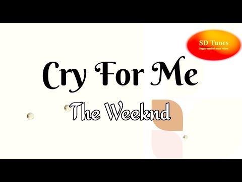 Video 25